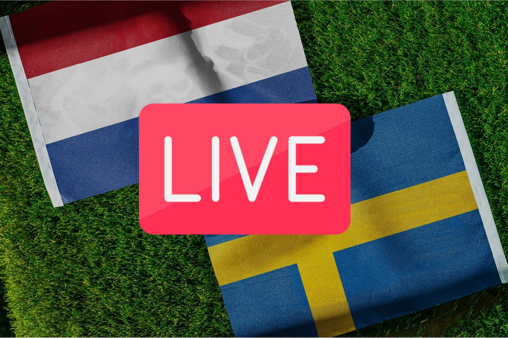 How to Watch Netherlands vs Sweden Live for Free — Kotaku