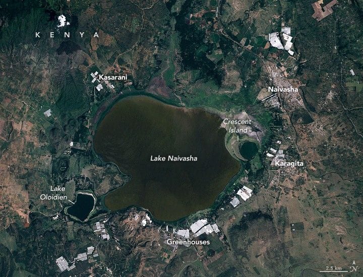 Rising Waters Swamp Lake Naivasha — NASA Science