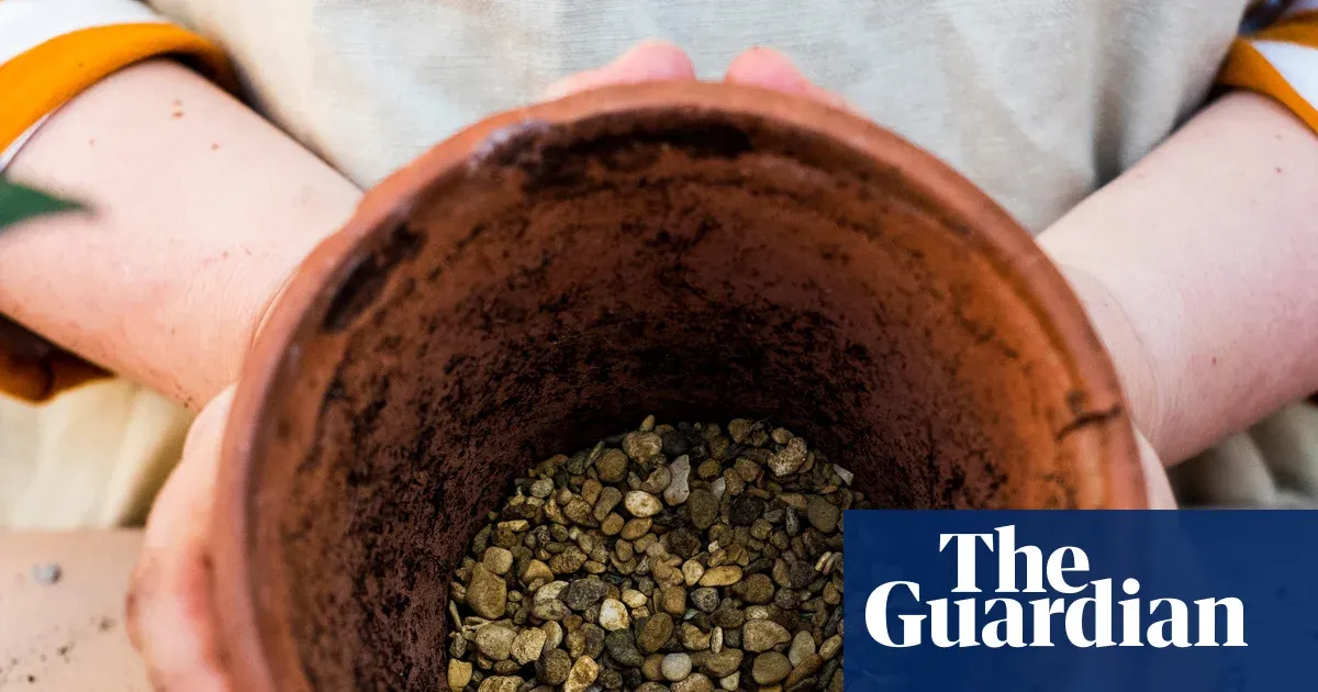 Does gravel at the bottom of pots improve drainage? — Lifestyle | The Guardian