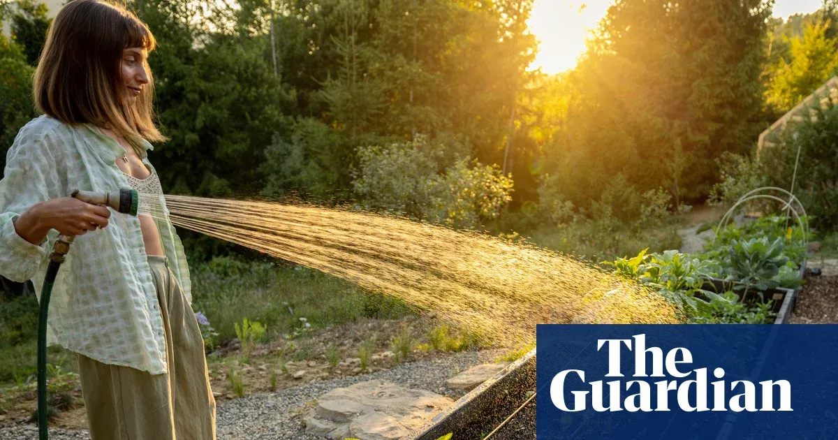 Lawns don’t need watering: how to garden in a heatwave — Lifestyle | The Guardian
