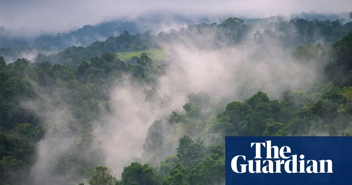 Papua New Guinea faces food shortages as El Niño brings frost and drought — World news | The Guardian