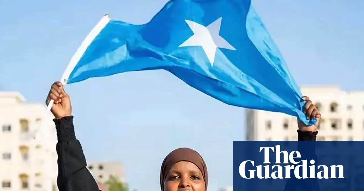 Woman jailed for three years for criticising Somali government online — World news | The Guardian