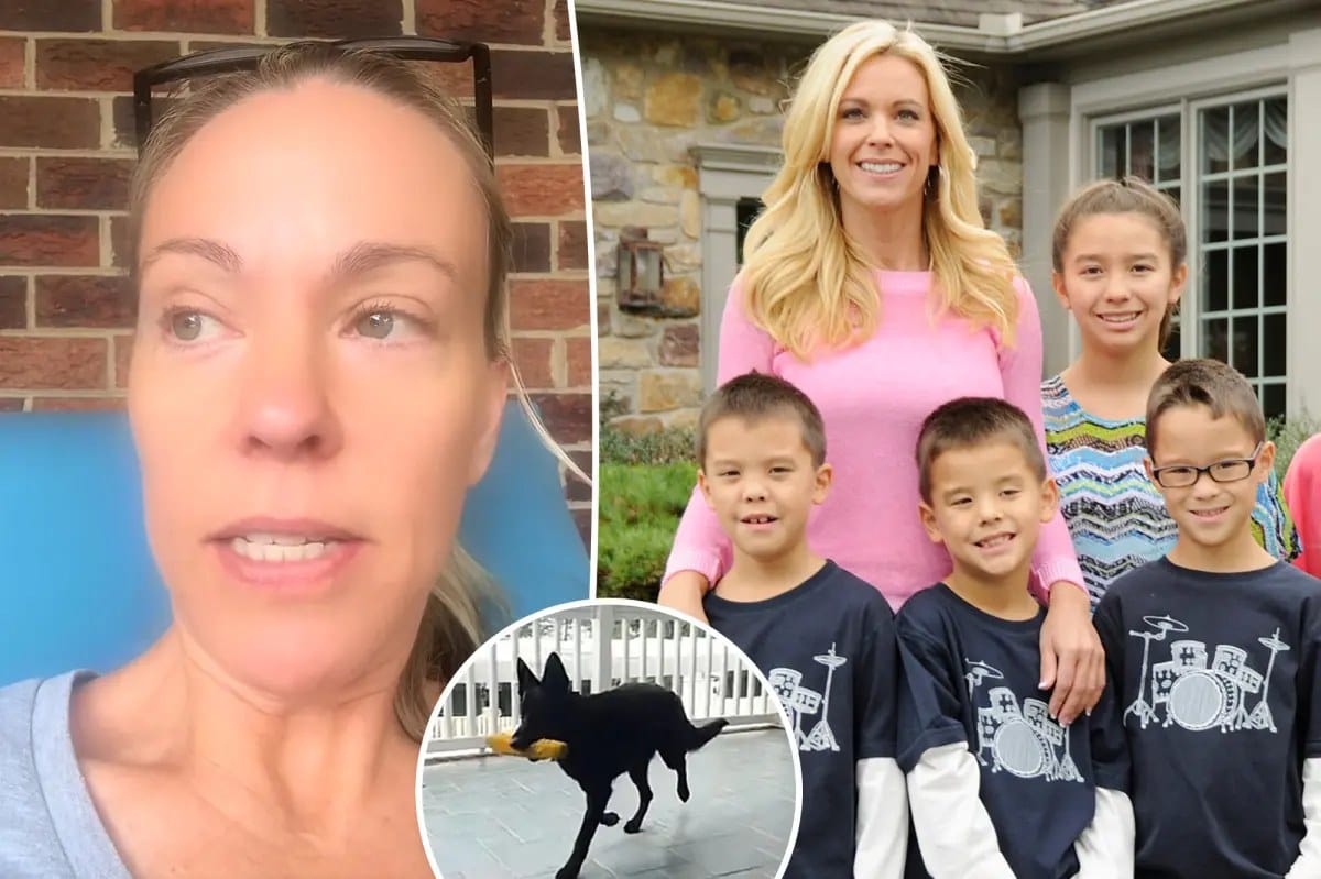 Kate Gosselin focuses on rescue dog as son promotes memoir — Pagesix