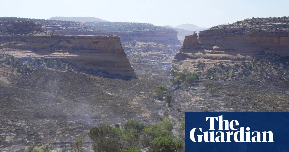 Weather tracker: North-west US hit by snow ahead of eastern heatwave — World news | The Guardian
