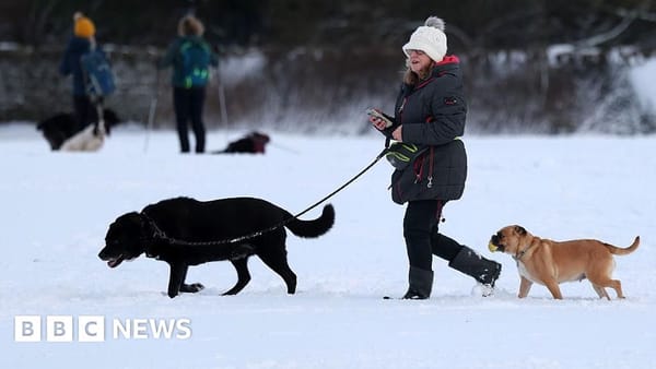 Extended snow and ice warnings as Arctic air brings disruption across UK — Ichef.bbci.co.uk
