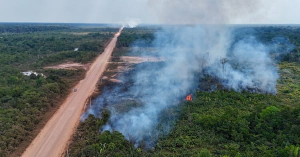 Study maps 'ghost' roads to flag tropical forests at risk — Static01.nyt.com
