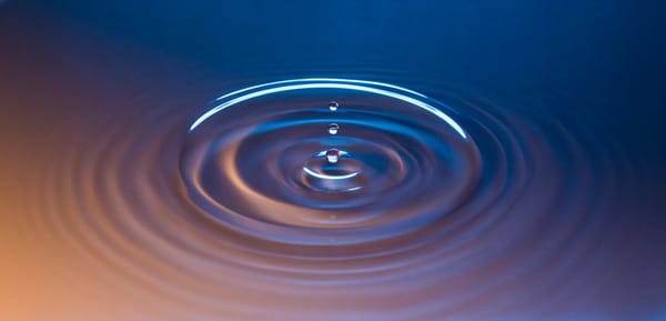 Meditation urged as a response to AI’s rise — Api.time.com