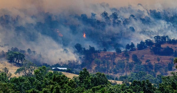 Victoria wildfires kill one and scorch nearly 900,000 acres — Static01.nyt.com