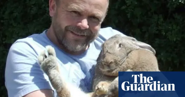 Flemish giant rabbit Dory alerted owner during diabetic coma, he says — I.guim.co.uk