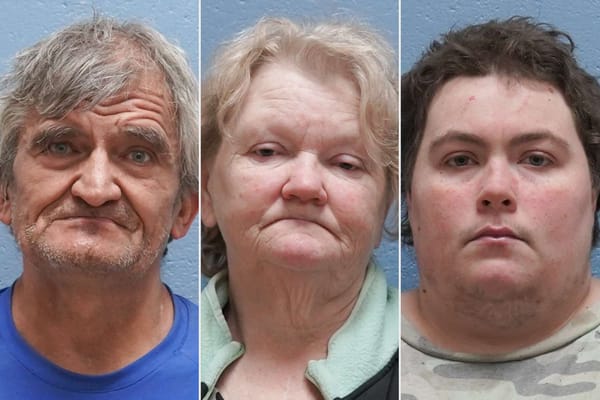 Three arrested after 29 dead dogs found in Lee County yard — People.com