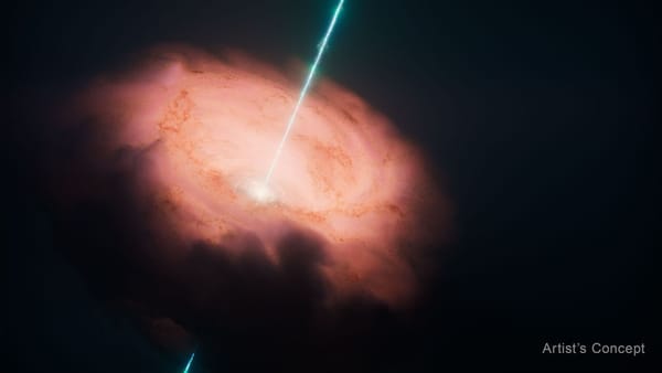 Webb shows most hot dust in Circinus feeds its central black hole — Assets.science.nasa.gov