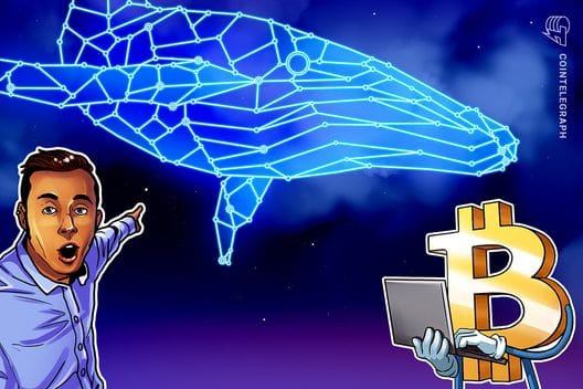 Bitcoin whale holdings return to positive after fastest sell-off since early 2023 — Images.cointelegraph.com