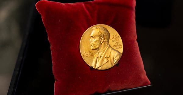 Nobel Peace Prize Medals Have Been Sold at Auction for Millions — Static01.nyt.com