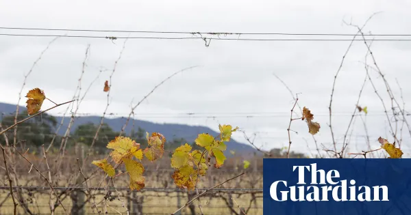 NSW coroner refers 2019 death of Filipino trainee to federal police — I.guim.co.uk