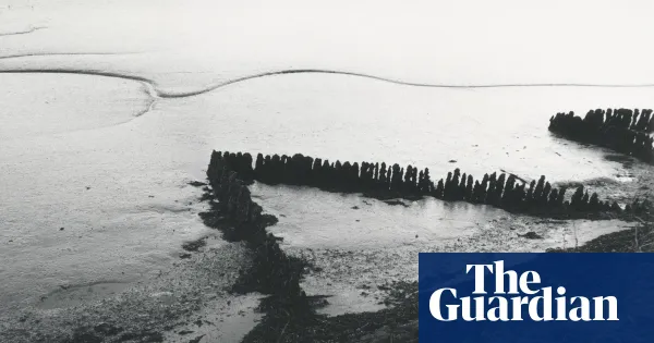 Tracey Emin curates Crossing into Darkness at Carl Freedman Gallery, Margate — I.guim.co.uk