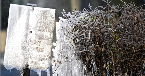 Winter storm brings snow to Florida and Georgia, threatens Northeast — Static01.nyt.com