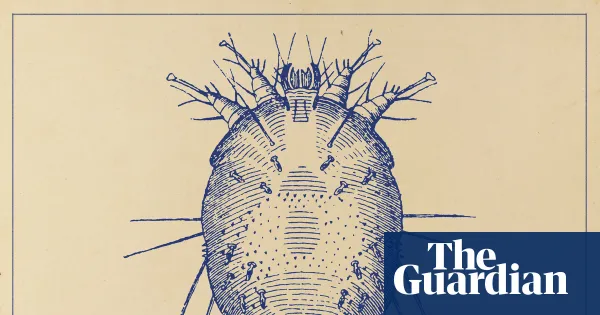 UK reports rise in scabies cases as patients describe prolonged outbreaks — I.guim.co.uk