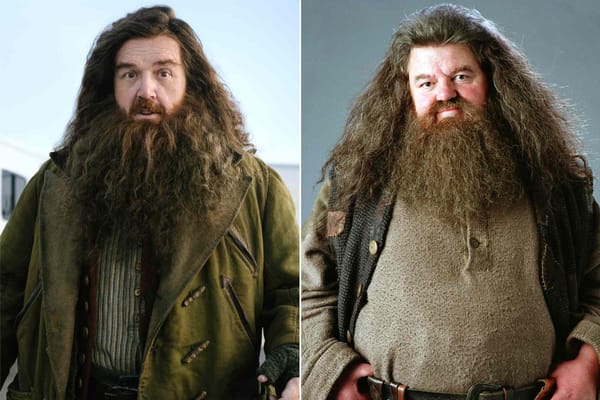 Nick Frost says he manifested Hagrid role by writing the name 'Hagrid' 7,000 times — People.com
