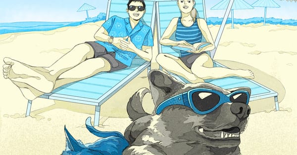 How to Travel With a Pet — 5 practical tips — Static01.nyt.com