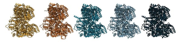 NASA-backed team resurrects ancient nitrogenase, validates nitrogen isotope biosignature — Assets.science.nasa.gov