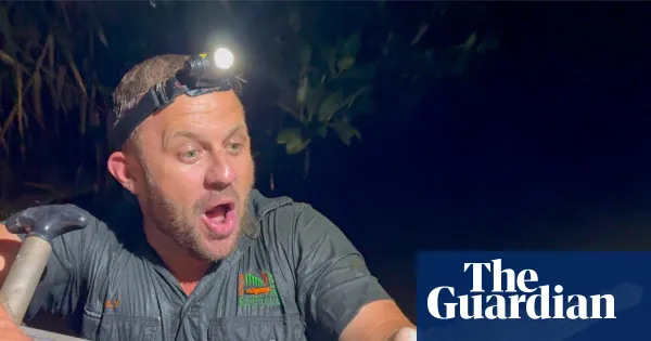 Crocodile captured in Newcastle creek far south of natural range — World news | The Guardian