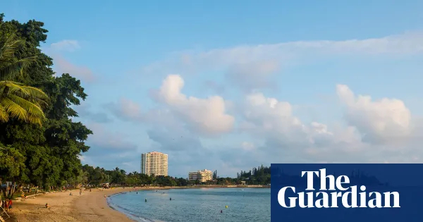 Shark culls after fatal attack split New Caledonia — World news | The Guardian