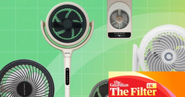Best fans to keep you cool in 2026 – tried and tested — Lifestyle | The Guardian