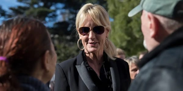 Erin Brockovich says data centers are being "shoved down their throat in secrecy" — Businessinsider