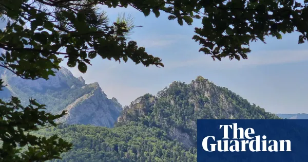 A bear hunt in Perućica, Europe’s oldest forest — Lifestyle | The Guardian