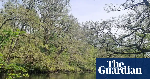 An almost wild camping trip: alternative family fun in the Peak District — Lifestyle | The Guardian