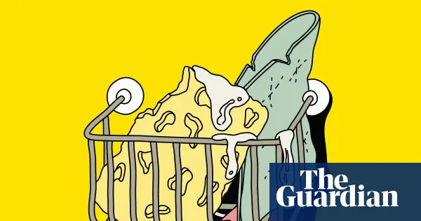 Should my partner get rid of her old dishcloths and sponges? — Lifestyle | The Guardian