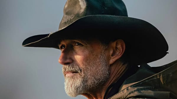 Which Taylor Sheridan World Were You Built For? — Collider