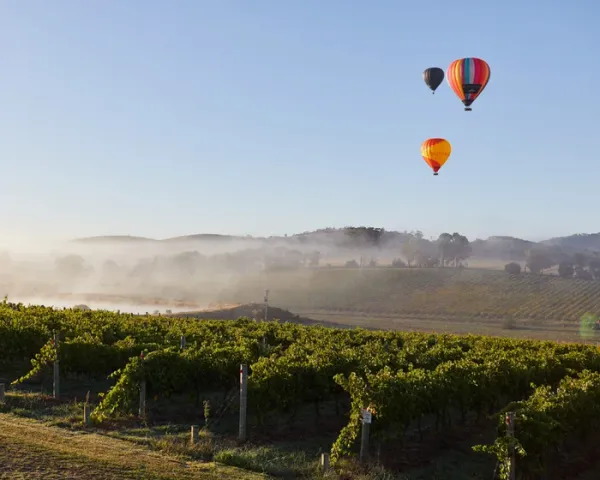 From vine to brine: a southern Australia food itinerary — Lifestyle | The Guardian