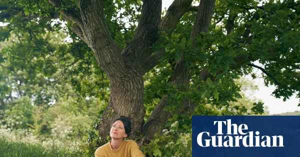 Sitting under an oak tree every day for a year — Lifestyle | The Guardian