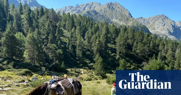 Family donkey-trekking holiday in the Spanish Pyrenees — Lifestyle | The Guardian