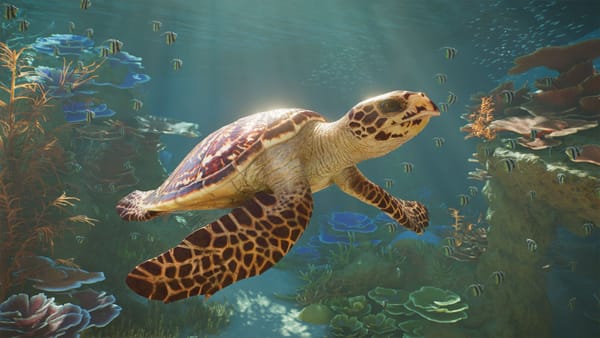 Planet Zoo 2 shows how to manage new aquariums and aviaries — Pcgamer