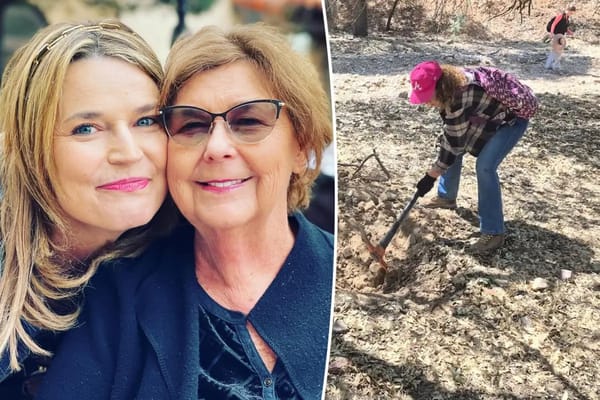 Search for Nancy Guthrie reignites after anonymous tip about possible grave — Pagesix