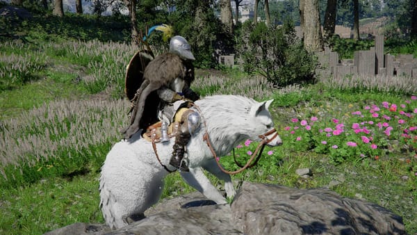 Crimson Desert patch 1.11 raises pet cap to 100 — Polygon