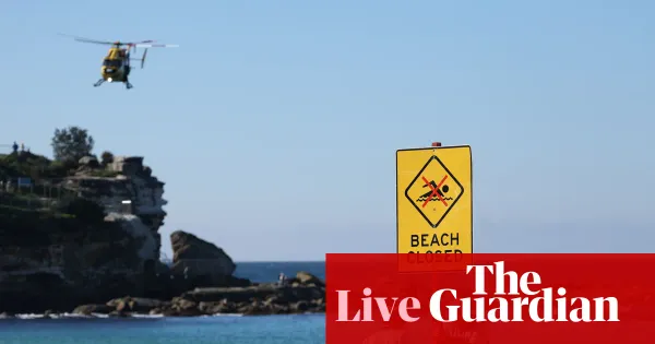 NSW lifts drone ban over Sydney beach after shark attack — World news | The Guardian