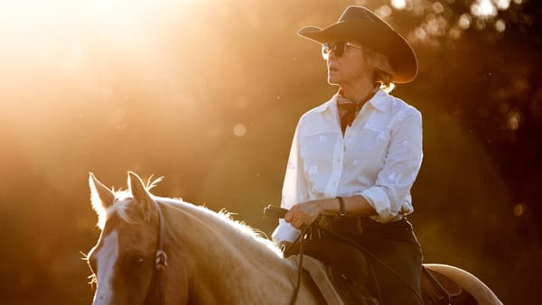 Which Taylor Sheridan World Are You In? — Collider