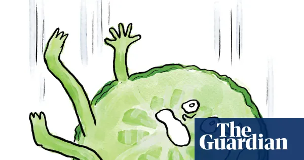 Is it true that … you have five seconds’ grace after dropping food on the floor? — Lifestyle | The Guardian