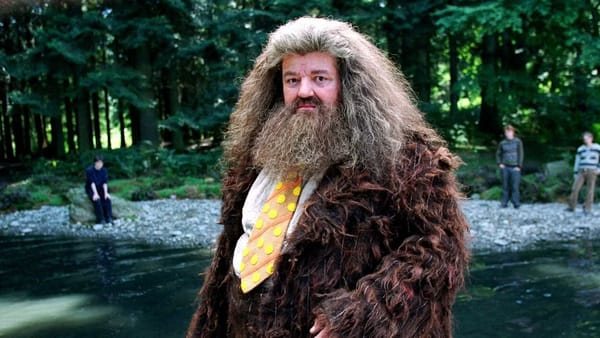 Steven Spielberg Helped Cast McGonagall, Dumbledore and Hagrid — Collider