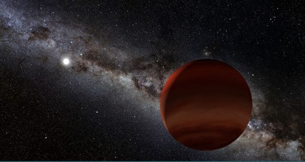 Backyard Worlds: Binaries asks volunteers to find brown dwarfs — NASA Science