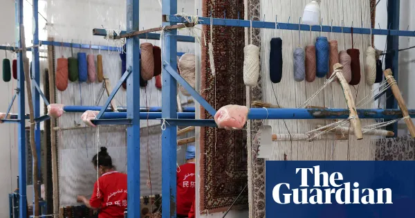 Canada eliminates human rights watchdog that oversees companies operating abroad — World news | The Guardian