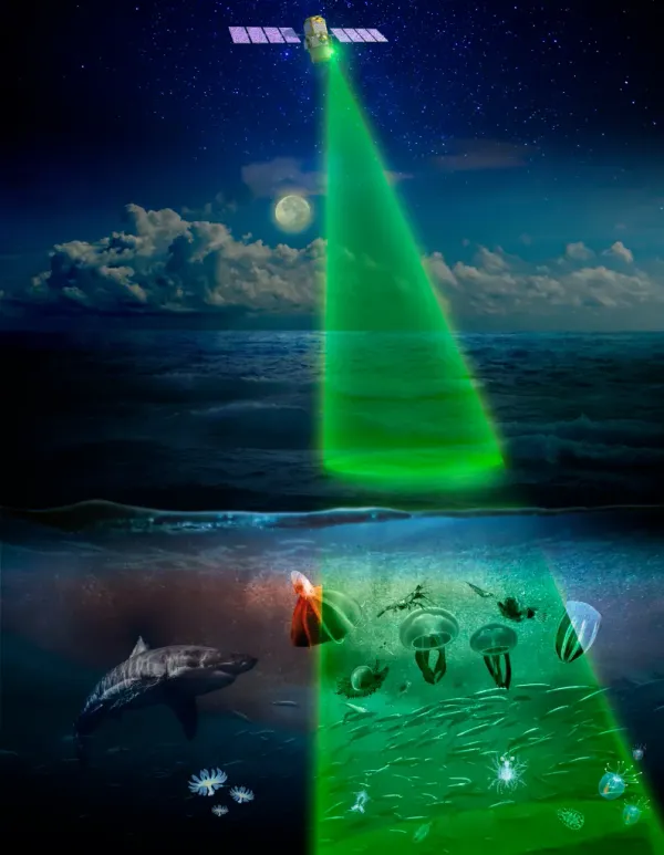 Girl Scout LiDAR Patch — NASA Science