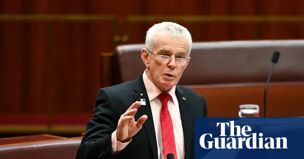 Malcolm Roberts to push One Nation for blanket abortion ban — World news | The Guardian