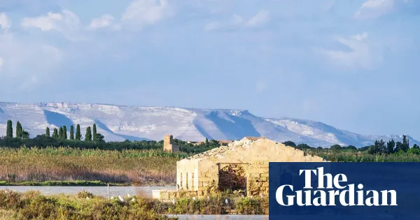 Flamingos and lemon groves at Sicily's Vendicari reserve — Lifestyle | The Guardian