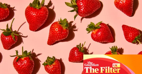 ‘Bright, glossy and rotund’: the best supermarket strawberries — Lifestyle | The Guardian
