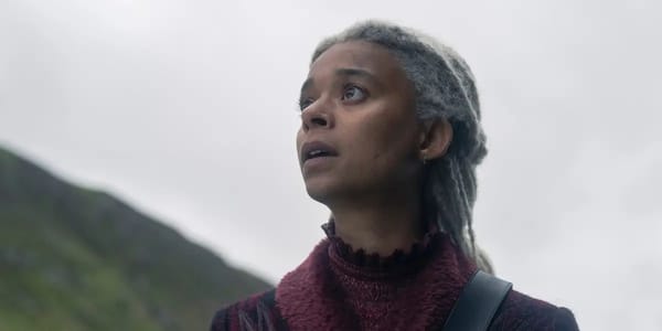 All the new dragonriders in House of the Dragon seasons two and three — Businessinsider