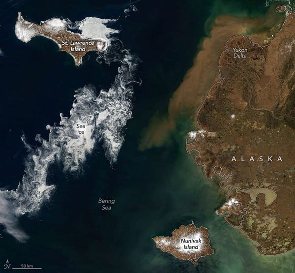 Signs of Thaw in the Bering Sea — NASA Science